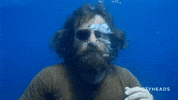 Dirty Heads Hello GIF by Better Noise Music