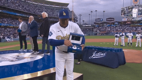 Los Angeles Dodgers Sport GIF by MLB