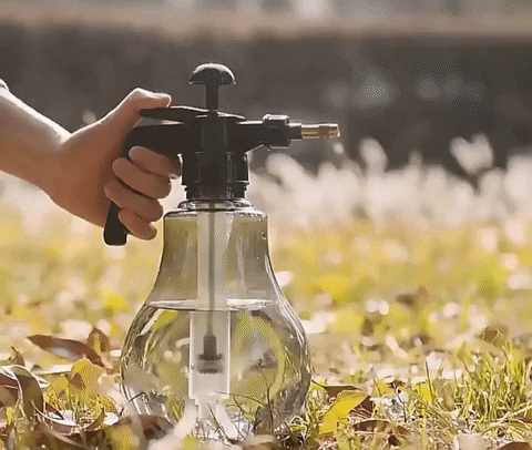 Luxury4less  GIF