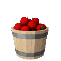 Apple Pie Apples Sticker