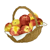 Apple Pie Apples Sticker