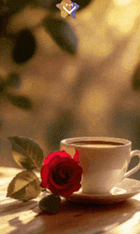 De Amor Dia GIF by Murcianys LLC