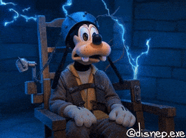 What The Hell Wtf GIF