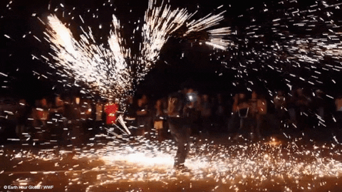 dance celebration GIF by Earth Hour