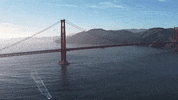 San Francisco California GIF by Yevbel