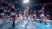 Super Bowl Football GIF by NFL