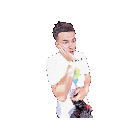 Nickycameras Sticker by Fotsbeats