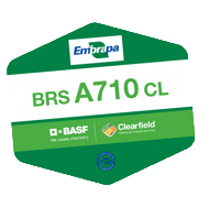 Arroz Embrapa Sticker by BASF Soluções para a Agricultura
