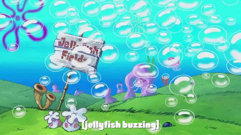 season 9 GIF by SpongeBob SquarePants