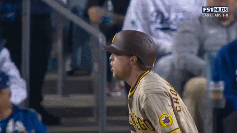 Excited Sport GIF by MLB