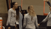 Sport Celebration GIF by Virginia Athletics