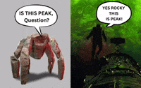 Its Peak Amaze GIF