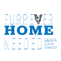 Lamfostertails Sticker by LabsAndMore