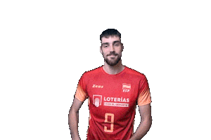 Alejandro Vigil Volleyball Sticker by RedLynxes