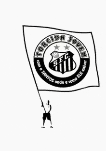 Seria A Santos Fc GIF