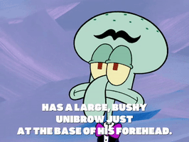 season 6 GIF by SpongeBob SquarePants