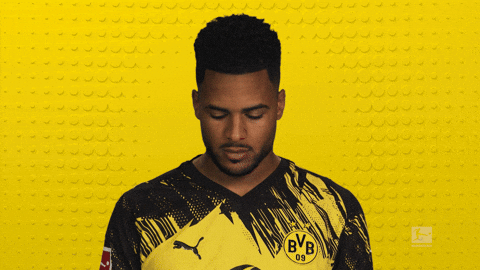 Borussia Dortmund GIF by Bundesliga