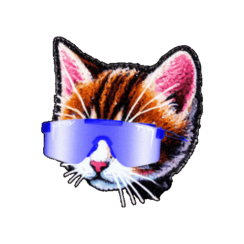 DCKAT giphygifmaker Sticker