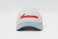 Awesome Head GIF by VeeFriends