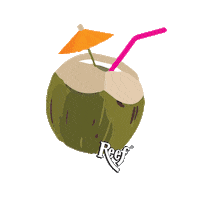 Summer Beach Sticker by Reef Oil