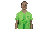 Like A Boss Deal With It Sticker by VfL Wolfsburg