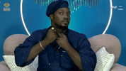 Bbnaija GIF by Big Brother Naija