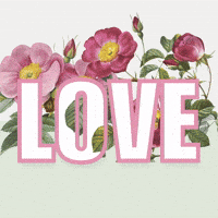 Annaga GIF by SHANNON BALENCIAGA