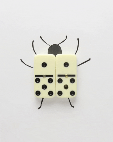 Stop Motion Bug GIF by cintascotch