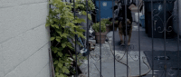 xambassadors x ambassadors ahead of myself GIF