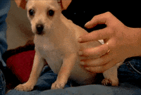 1x07 GIF by The Hills