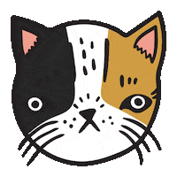 cat eye roll Sticker by Stay Home Club