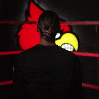 University Of Louisville Swimming GIF by Louisville Cardinals