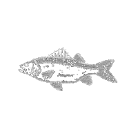 Fish And Chips Sticker by No1 Cromer