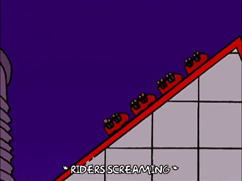 Episode 2 National Roller Coaster Day GIF by The Simpsons