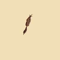 _milvus_milvus monster wolf fear beast GIF
