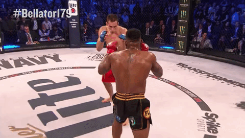 GIF by Bellator