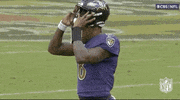 Baltimore Ravens Football GIF by NFL