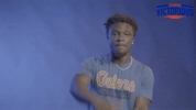 Go Gators GIF by Florida Victorious