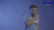 Go Gators GIF by Florida Victorious
