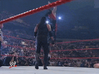 wwe sports wwe wrestling 1999 GIF