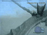 GIF by Giffffr