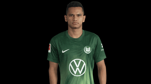 Three Points Win GIF by VfL Wolfsburg