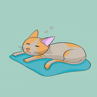 adebayuabadi cat sleep sleeping sleepingcat GIF