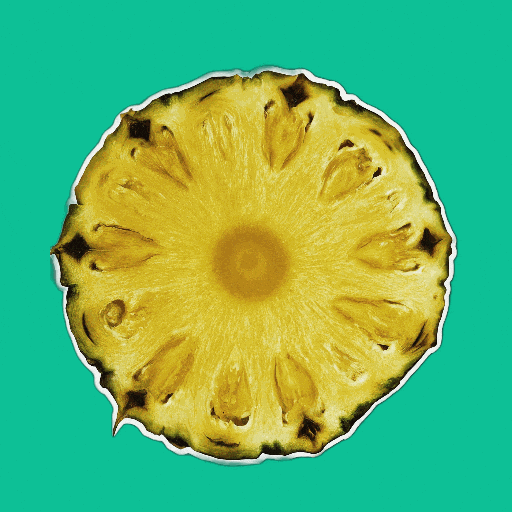 Summer Comida GIF