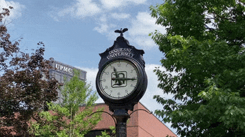 Duquesnebluff GIF by Duquesne University