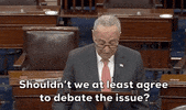 Chuck Schumer Politics GIF by GIPHY News