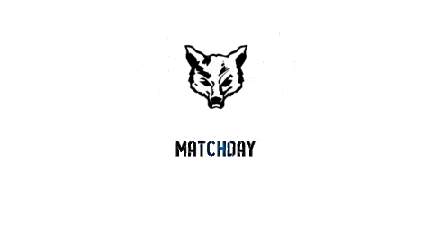 Ff Matchday Sticker by Fichtenfuechse