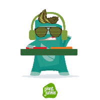 Health Veggie Sticker by Better Body Foods
