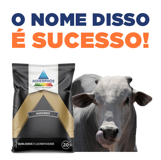 Minerphos giphyupload tecnologia boi sucesso Sticker