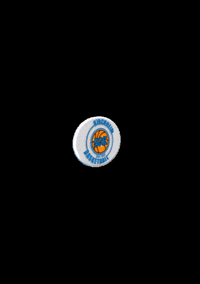 sgk-basketball basketball verein heidelberg sgk GIF